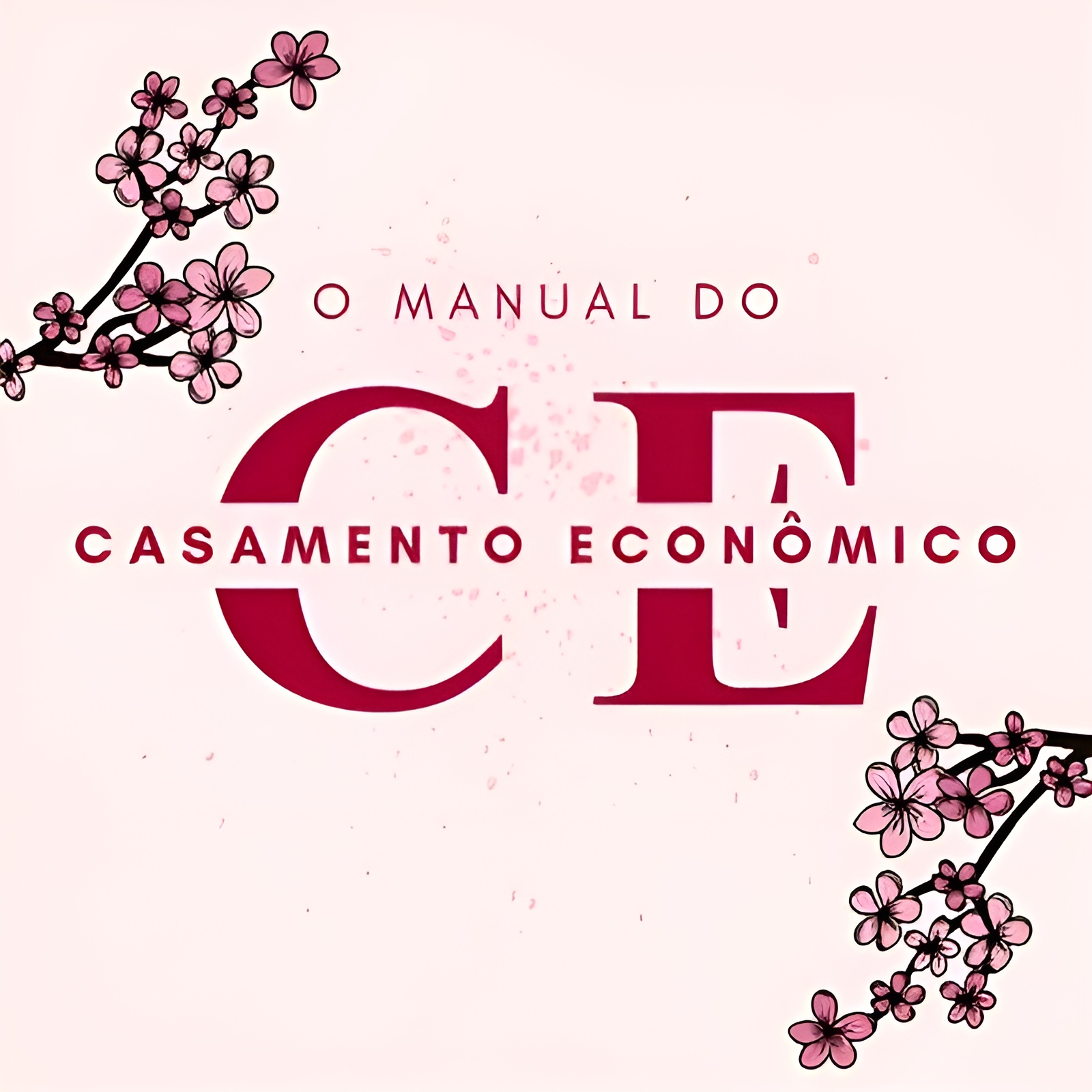 Imagem de divulgação do Manual do Casamento Econômico, da Angela Santos